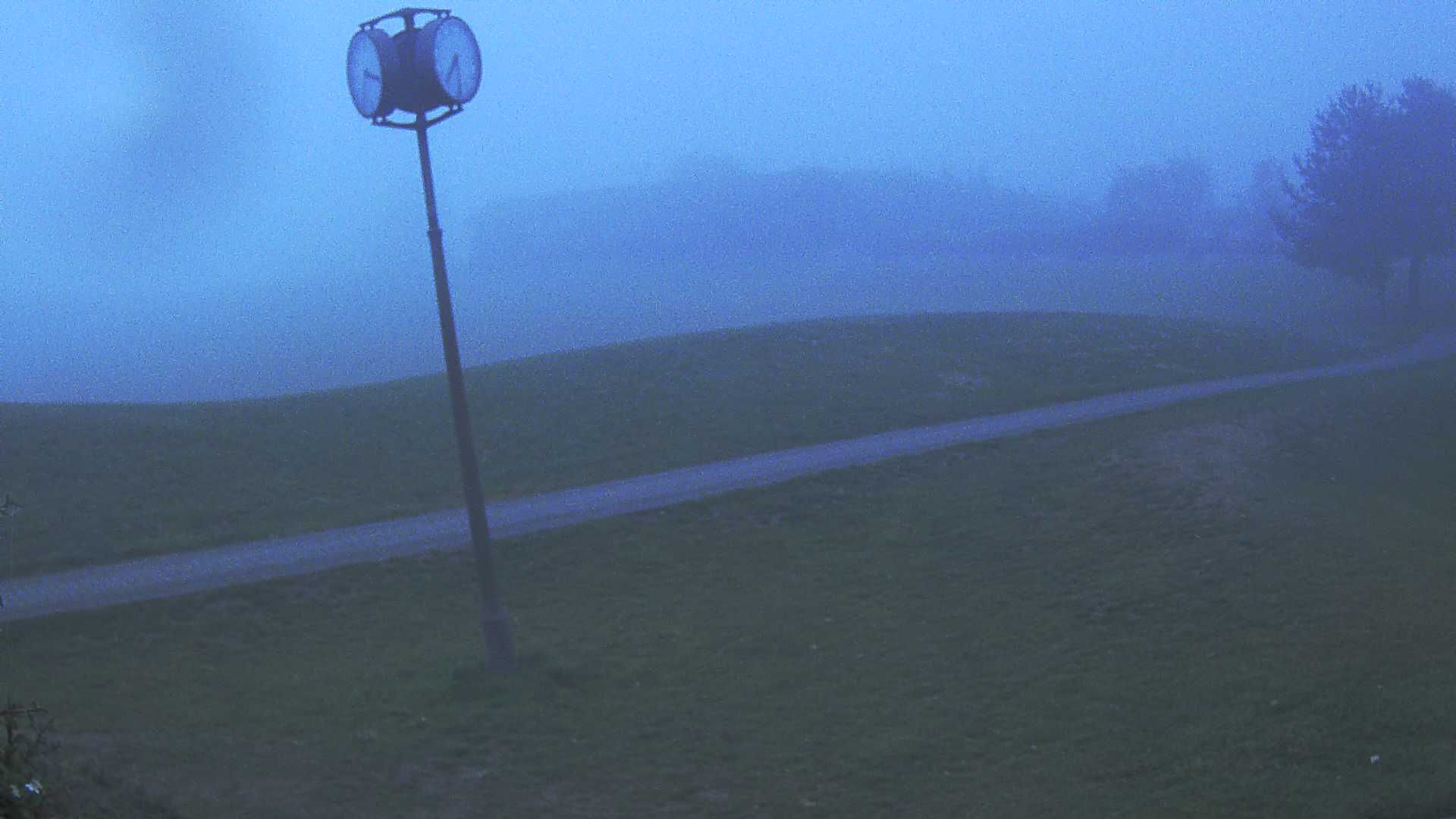 Berovice