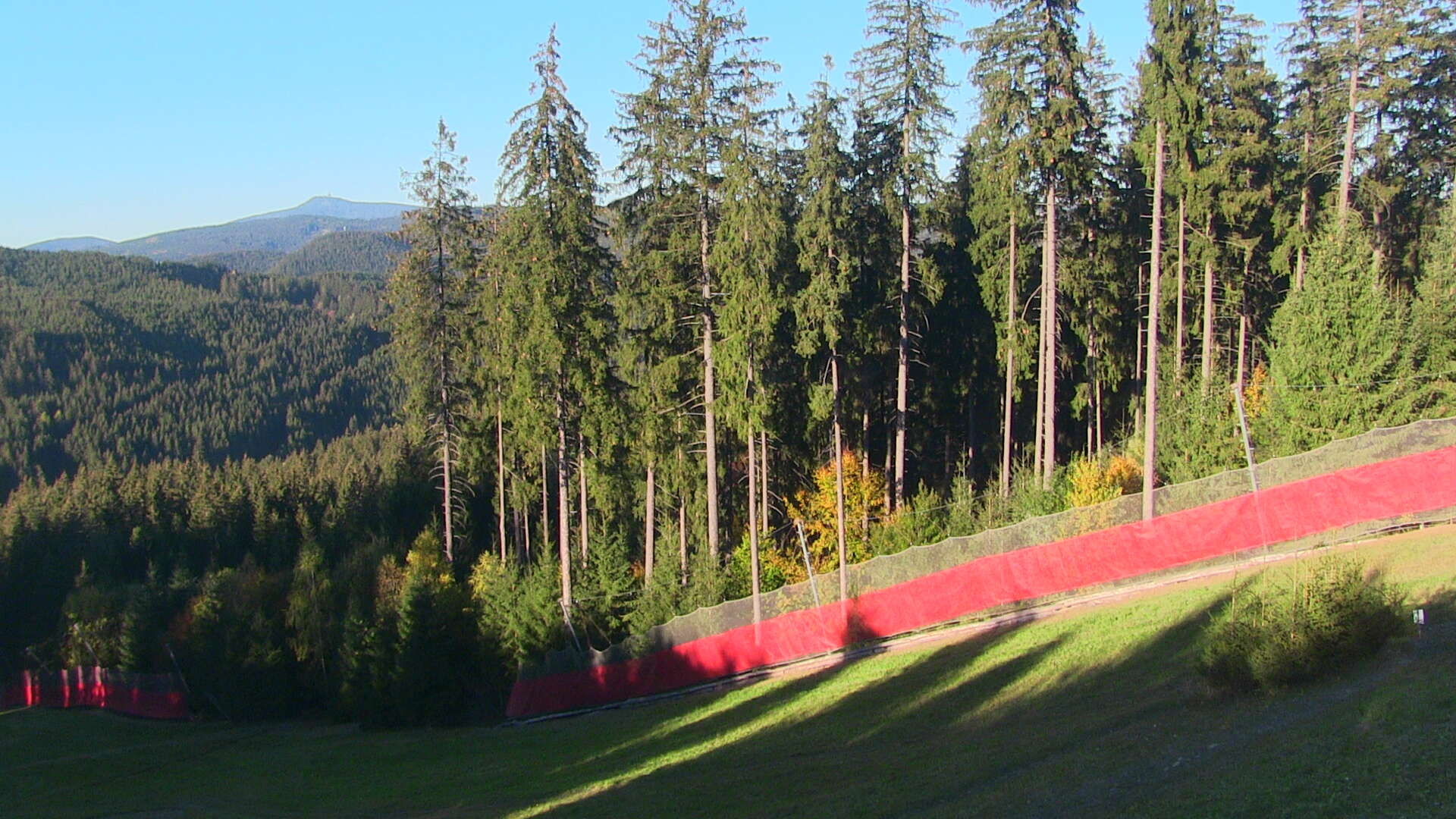 Bílá