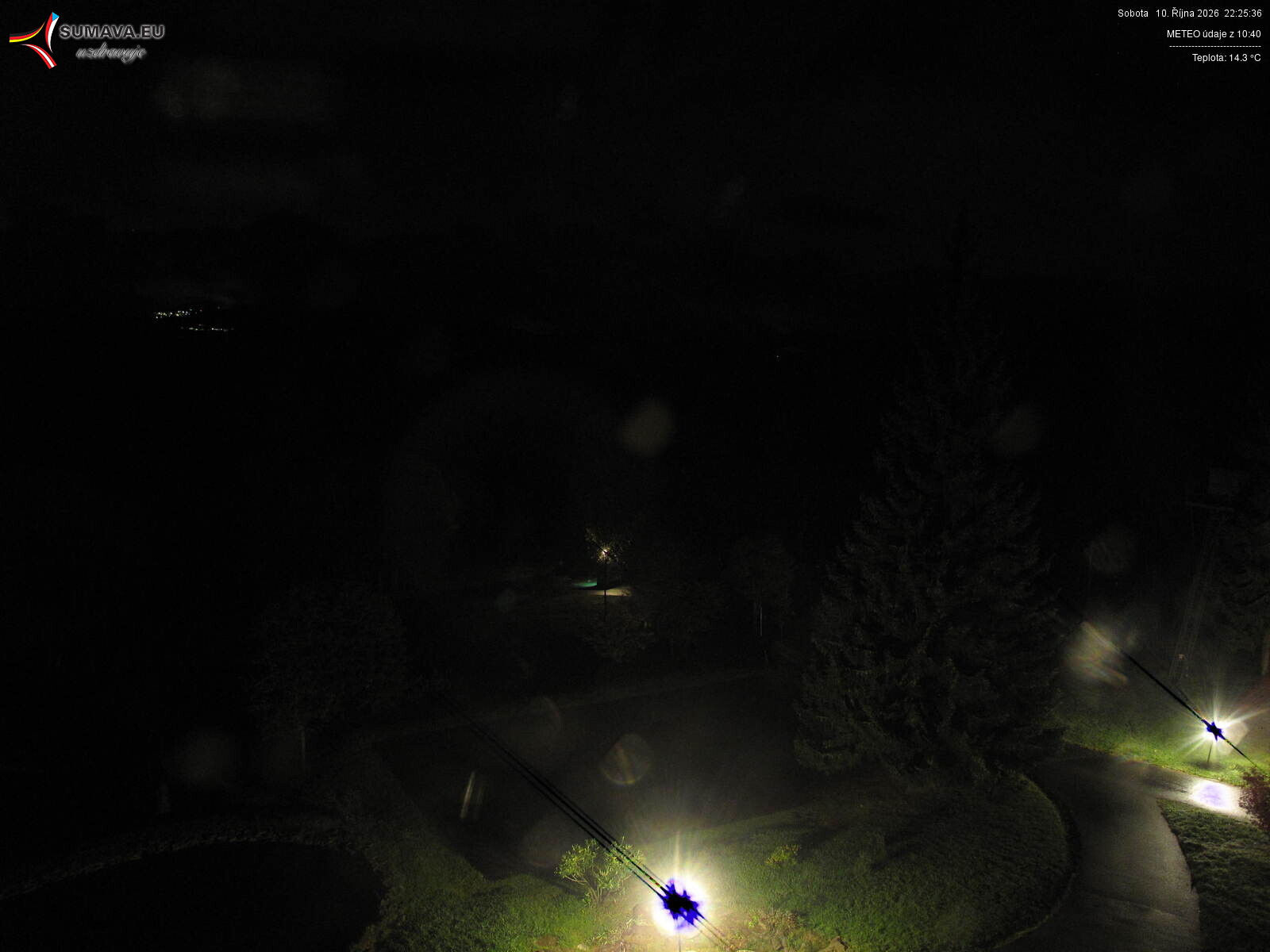 Bučina