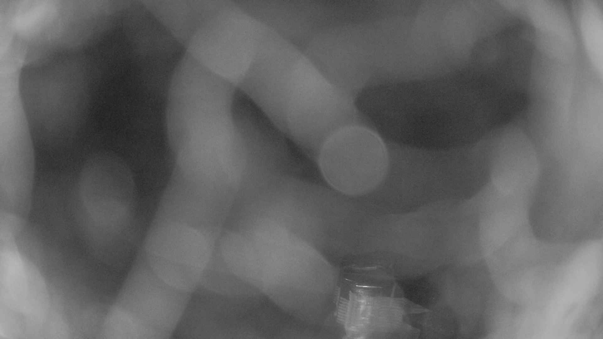 Koupaliste Holesov webcam
