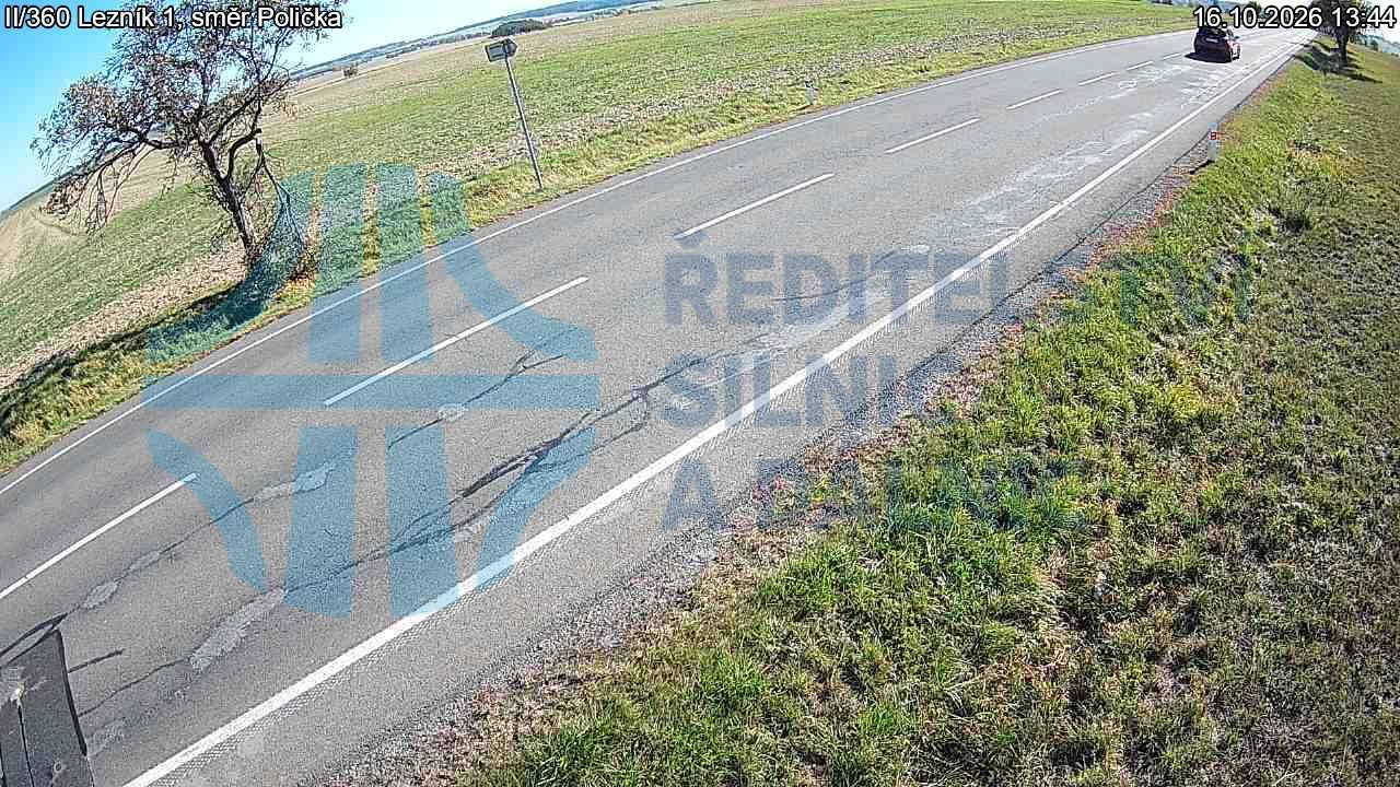 Lezník