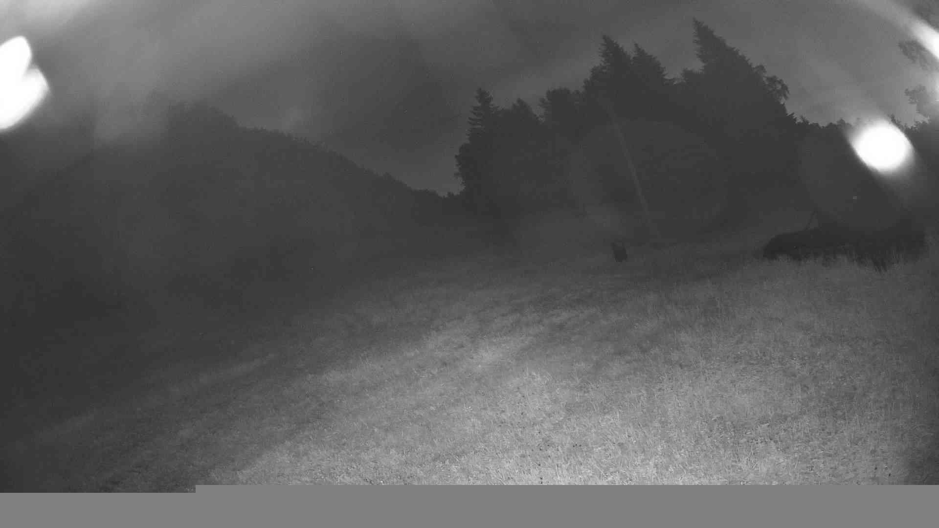 Lyzarsky Vlek Karlova Studanka webcam