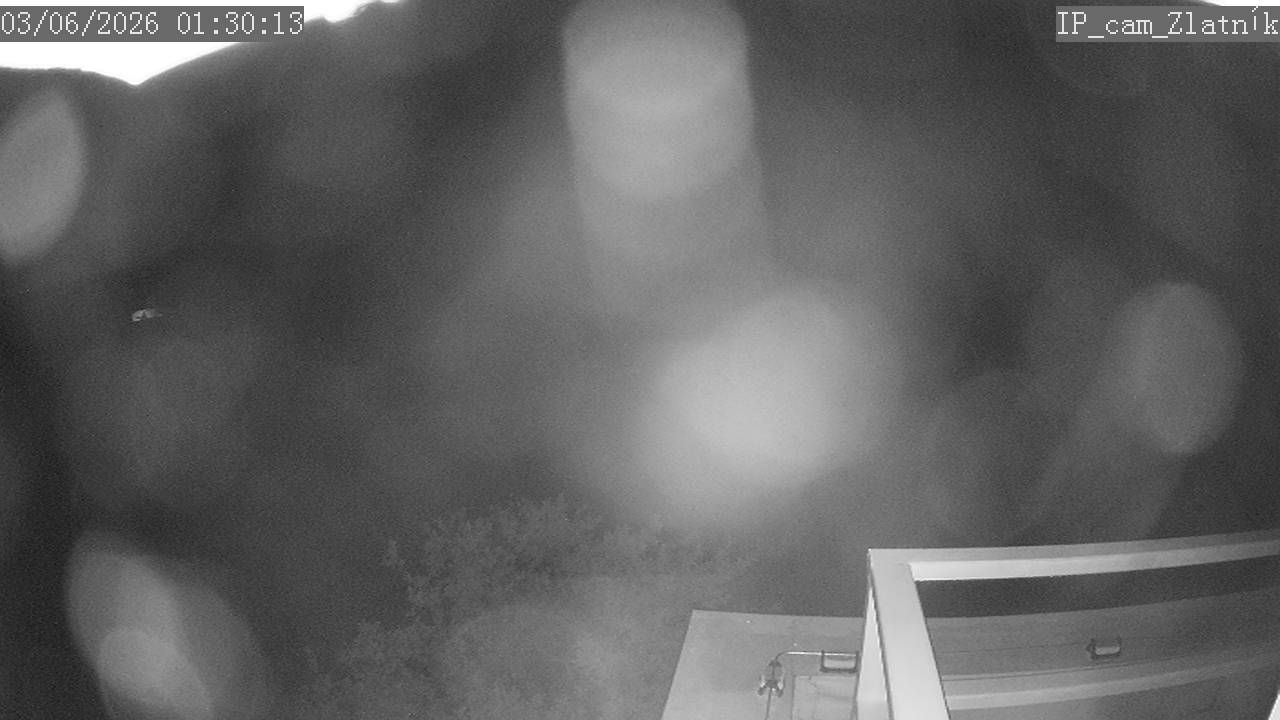 Most Letiste webcam