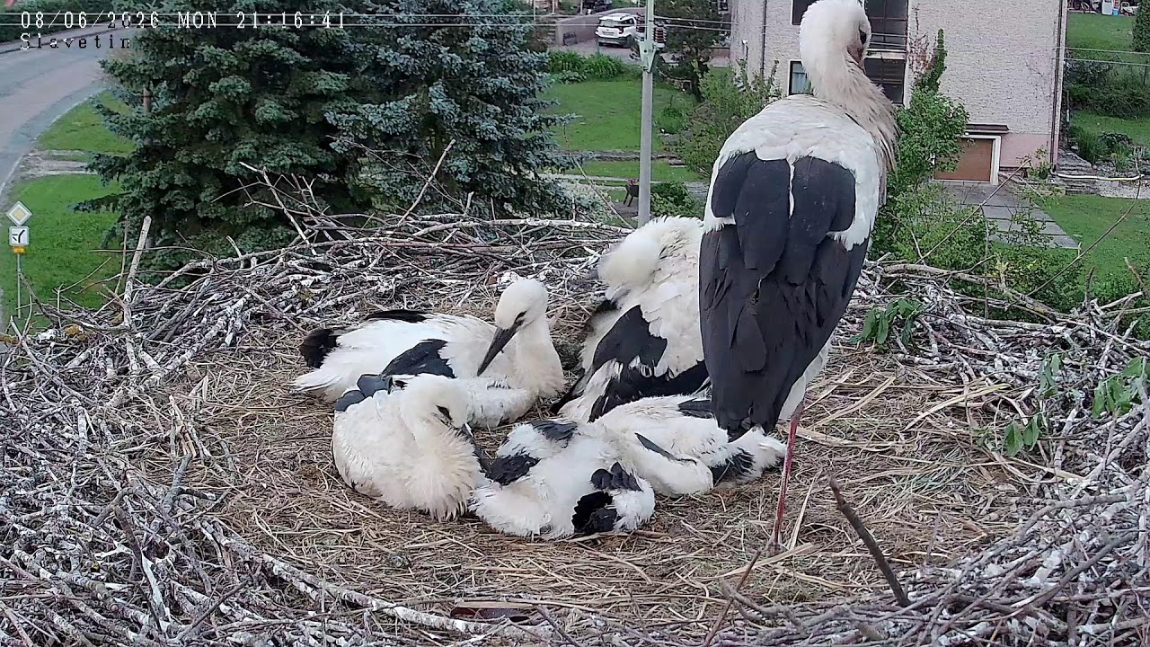 Slavětín nad Metují webcam