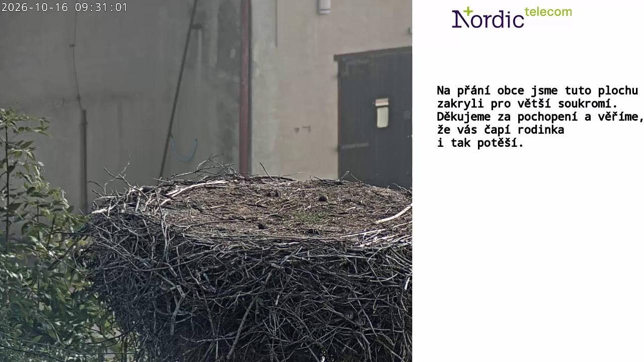 Žichlínek čapí hnízdo
